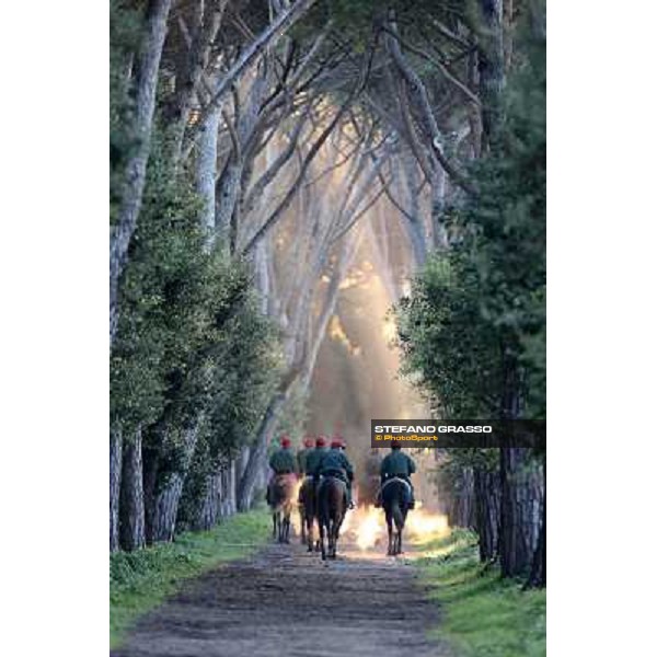A morning at Endo Botti racing stable Pisa - San Rossore,7th nov.2012 ph.Stefano Grasso