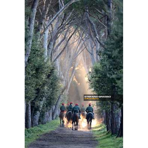 A morning at Endo Botti racing stable Pisa - San Rossore,7th nov.2012 ph.Stefano Grasso