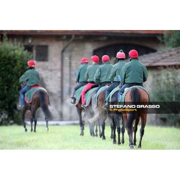 A morning at Endo Botti racing stable Pisa - San Rossore,7th nov.2012 ph.Stefano Grasso