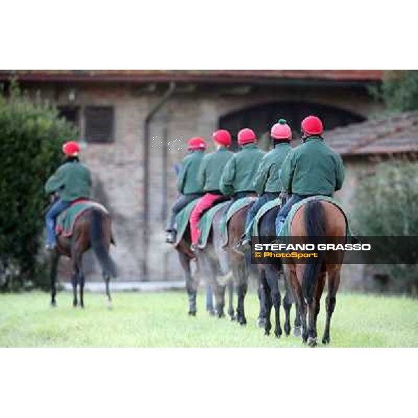 A morning at Endo Botti racing stable Pisa - San Rossore,7th nov.2012 ph.Stefano Grasso