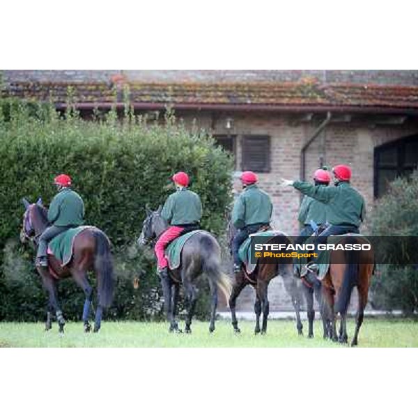 A morning at Endo Botti racing stable Pisa - San Rossore,7th nov.2012 ph.Stefano Grasso