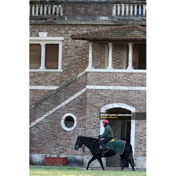 A morning at Endo Botti racing stable Pisa - San Rossore,7th nov.2012 ph.Stefano Grasso