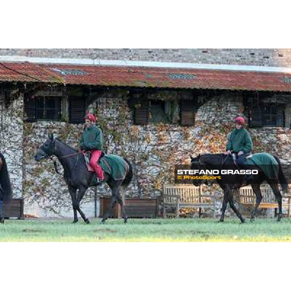 A morning at Endo Botti racing stable Pisa - San Rossore,7th nov.2012 ph.Stefano Grasso
