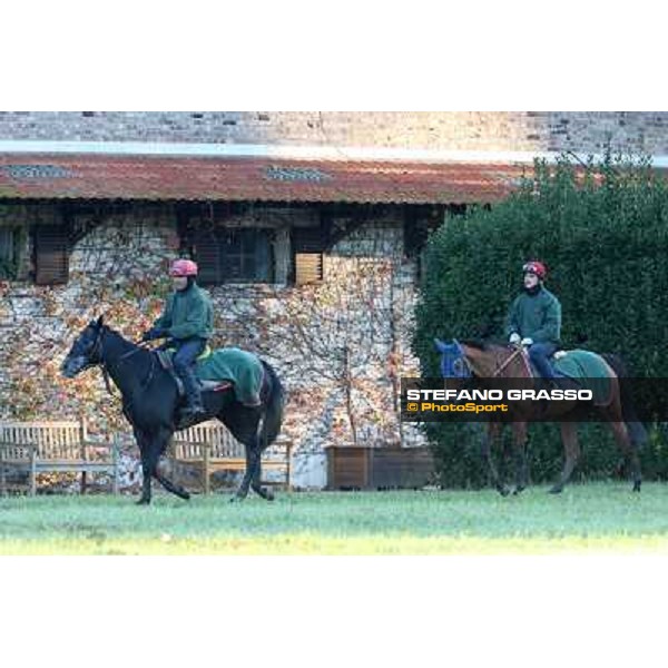 A morning at Endo Botti racing stable Pisa - San Rossore,7th nov.2012 ph.Stefano Grasso