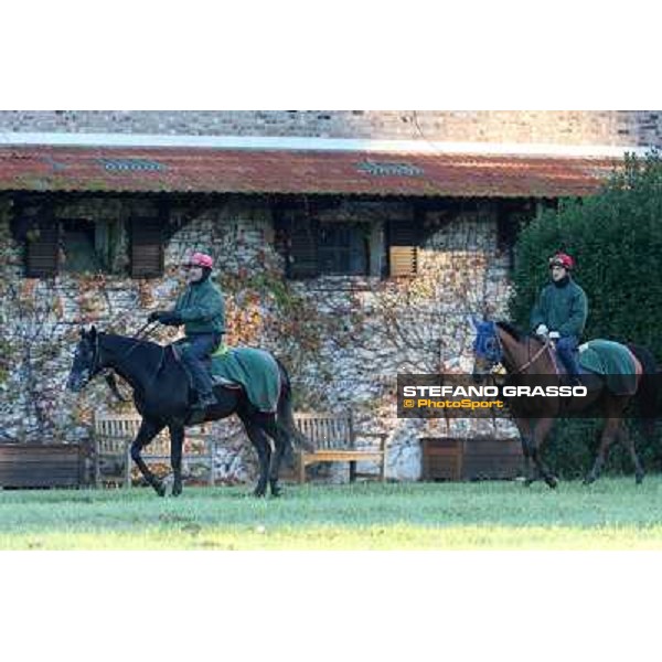 A morning at Endo Botti racing stable Pisa - San Rossore,7th nov.2012 ph.Stefano Grasso