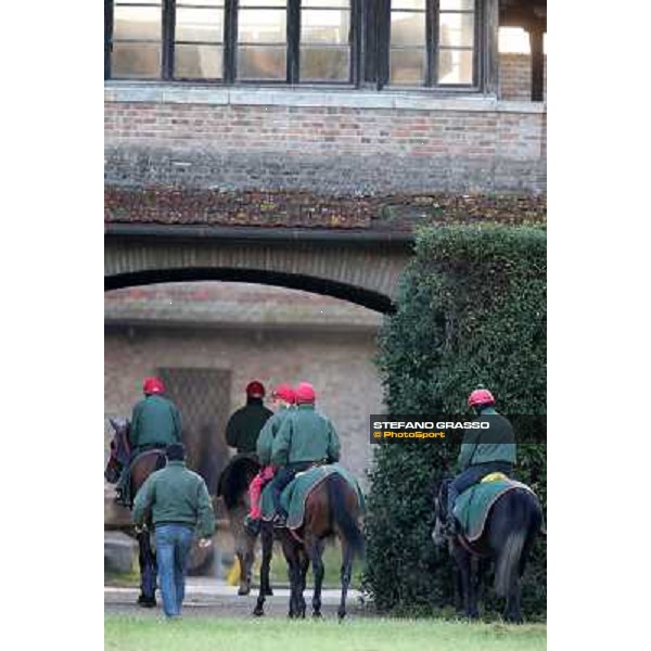 A morning at Endo Botti racing stable Pisa - San Rossore,7th nov.2012 ph.Stefano Grasso