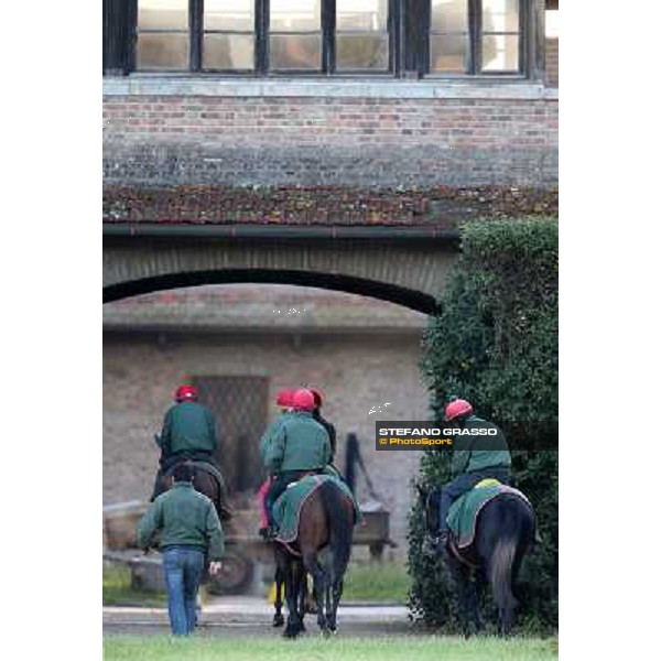 A morning at Endo Botti racing stable Pisa - San Rossore,7th nov.2012 ph.Stefano Grasso