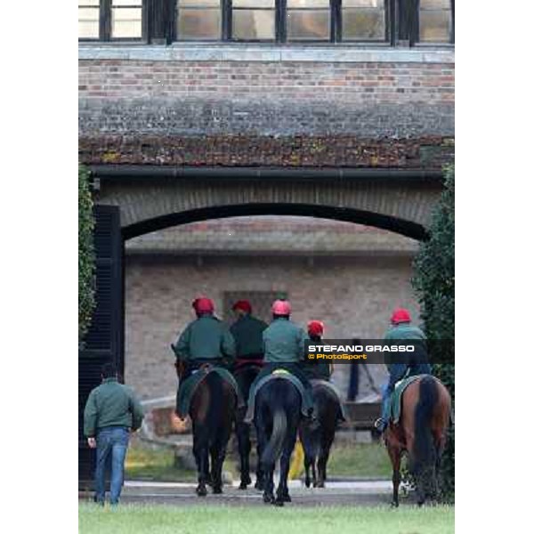 A morning at Endo Botti racing stable Pisa - San Rossore,7th nov.2012 ph.Stefano Grasso