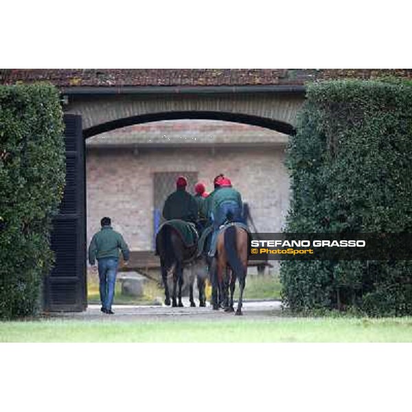 A morning at Endo Botti racing stable Pisa - San Rossore,7th nov.2012 ph.Stefano Grasso