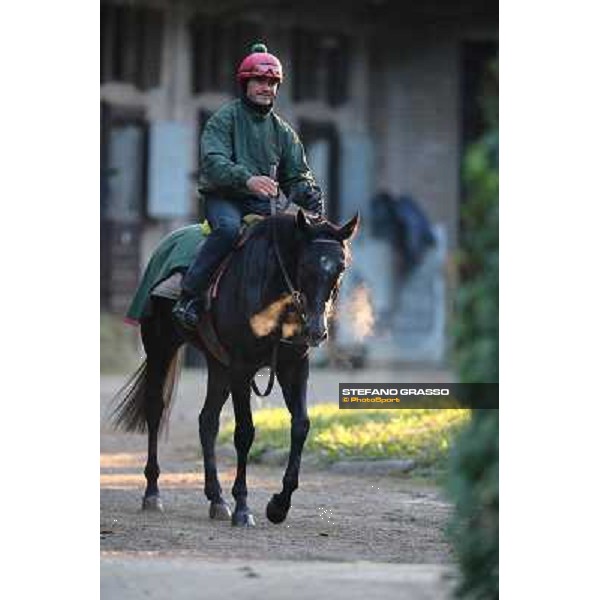 A morning at Endo Botti racing stable Pisa - San Rossore,7th nov.2012 ph.Stefano Grasso