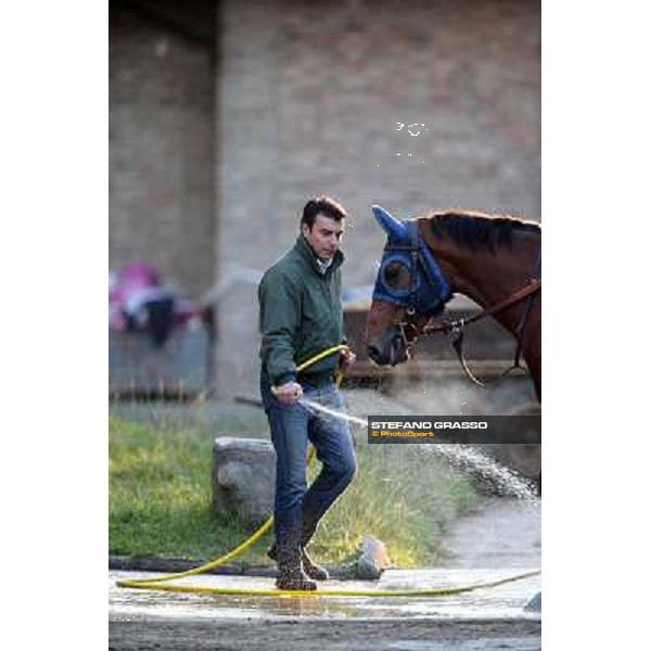A morning at Endo Botti racing stable Pisa - San Rossore,7th nov.2012 ph.Stefano Grasso