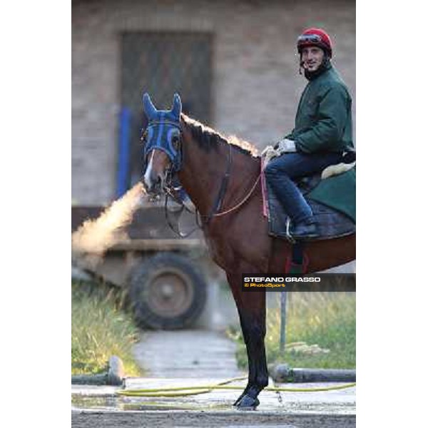 A morning at Endo Botti racing stable Pisa - San Rossore,7th nov.2012 ph.Stefano Grasso