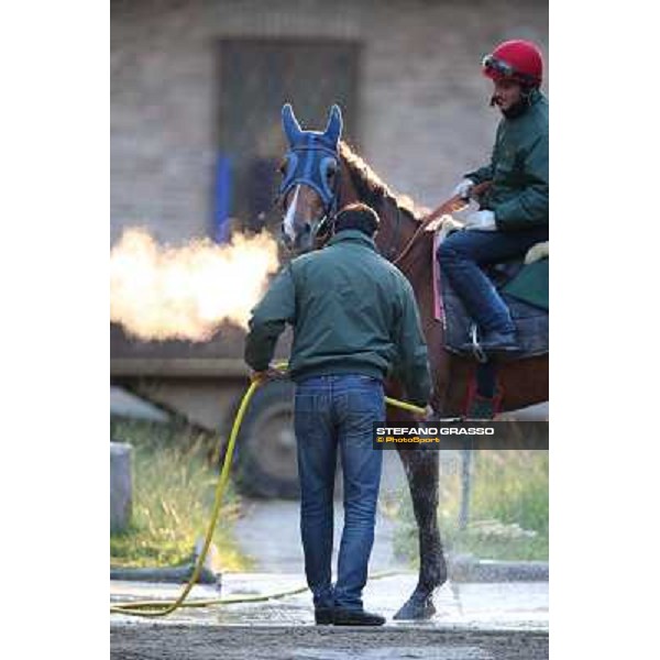A morning at Endo Botti racing stable Pisa - San Rossore,7th nov.2012 ph.Stefano Grasso