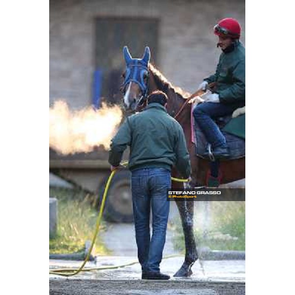 A morning at Endo Botti racing stable Pisa - San Rossore,7th nov.2012 ph.Stefano Grasso