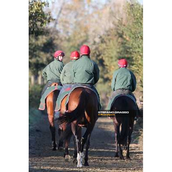 A morning at Endo Botti racing stable Pisa - San Rossore,7th nov.2012 ph.Stefano Grasso