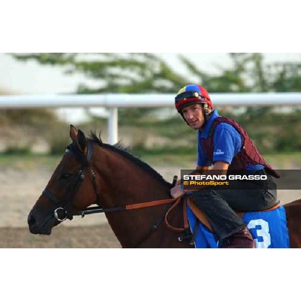 Godolphin Horses in training Frankie Dettori on Dubawi Al Quoz Dubai UAE 23rd march 2005 ph. Stefano Grasso