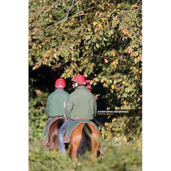 A morning at Endo Botti racing stable Pisa - San Rossore,7th nov.2012 ph.Stefano Grasso