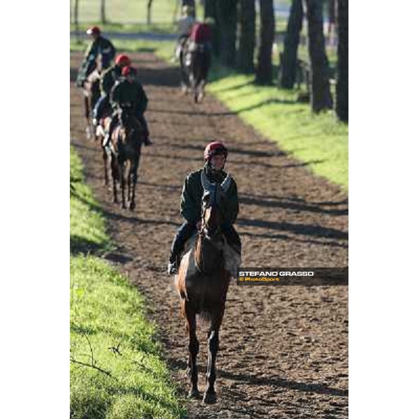 A morning at Endo Botti racing stable Pisa - San Rossore,7th nov.2012 ph.Stefano Grasso