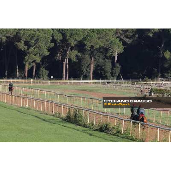 A morning at Endo Botti racing stable Pisa - San Rossore,7th nov.2012 ph.Stefano Grasso