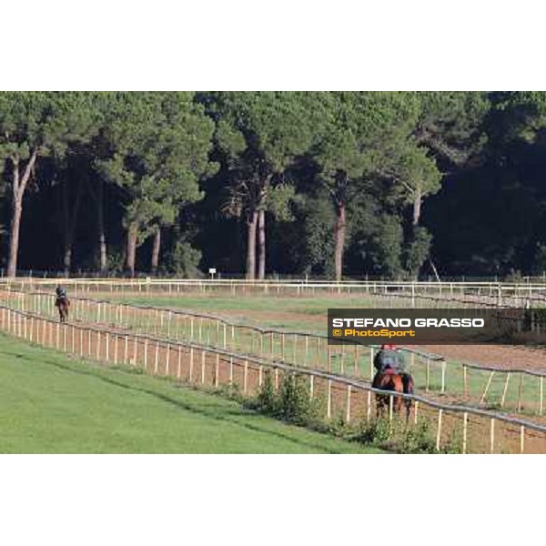 A morning at Endo Botti racing stable Pisa - San Rossore,7th nov.2012 ph.Stefano Grasso