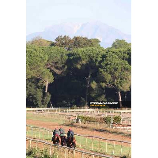 A morning at Endo Botti racing stable Pisa - San Rossore,7th nov.2012 ph.Stefano Grasso