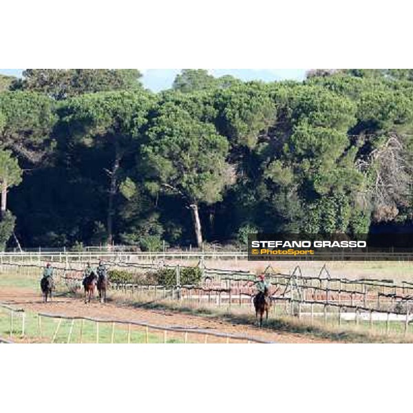 A morning at Endo Botti racing stable Pisa - San Rossore,7th nov.2012 ph.Stefano Grasso