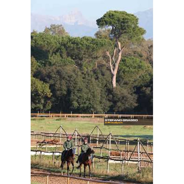 A morning at Endo Botti racing stable Pisa - San Rossore,7th nov.2012 ph.Stefano Grasso