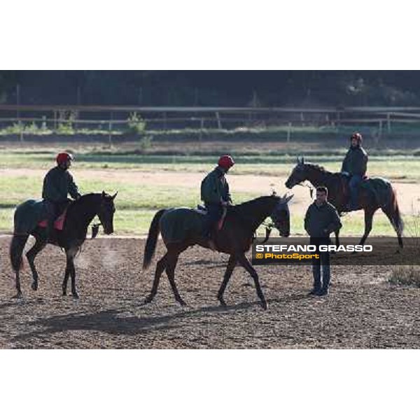 A morning at Endo Botti racing stable Pisa - San Rossore,7th nov.2012 ph.Stefano Grasso