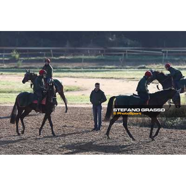 A morning at Endo Botti racing stable Pisa - San Rossore,7th nov.2012 ph.Stefano Grasso