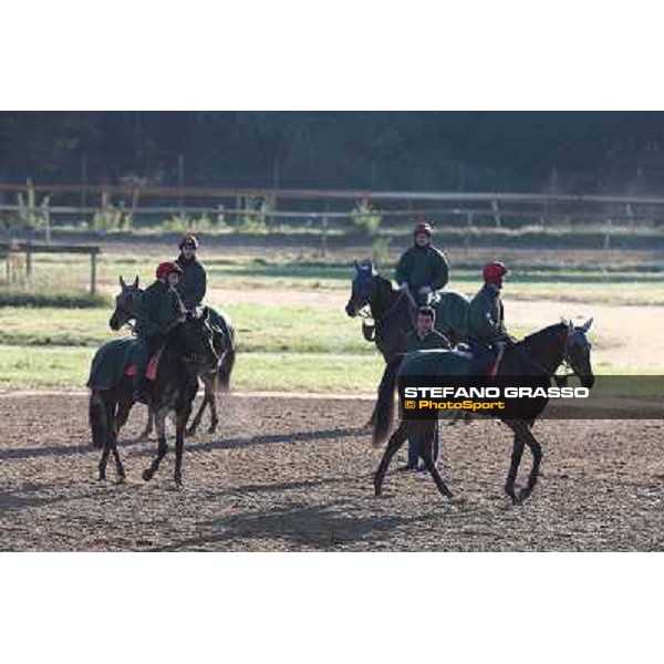 A morning at Endo Botti racing stable Pisa - San Rossore,7th nov.2012 ph.Stefano Grasso