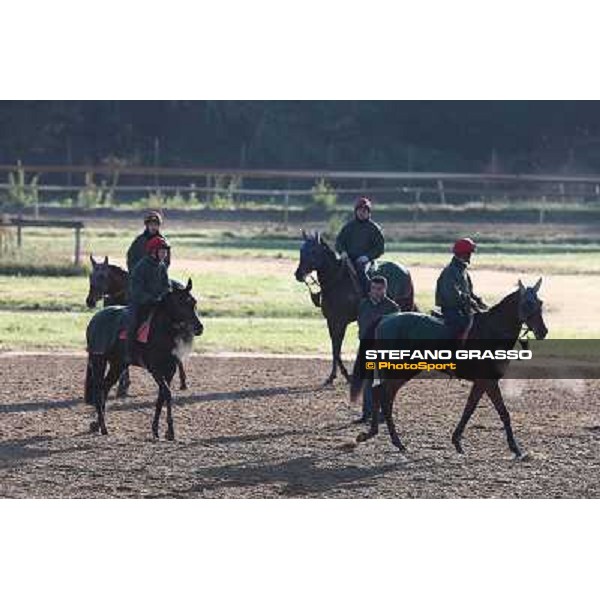 A morning at Endo Botti racing stable Pisa - San Rossore,7th nov.2012 ph.Stefano Grasso