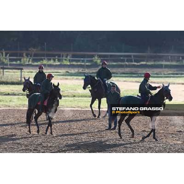 A morning at Endo Botti racing stable Pisa - San Rossore,7th nov.2012 ph.Stefano Grasso