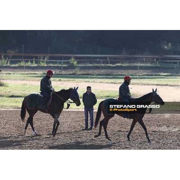 A morning at Endo Botti racing stable Pisa - San Rossore,7th nov.2012 ph.Stefano Grasso