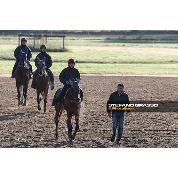A morning at Endo Botti racing stable Pisa - San Rossore,7th nov.2012 ph.Stefano Grasso