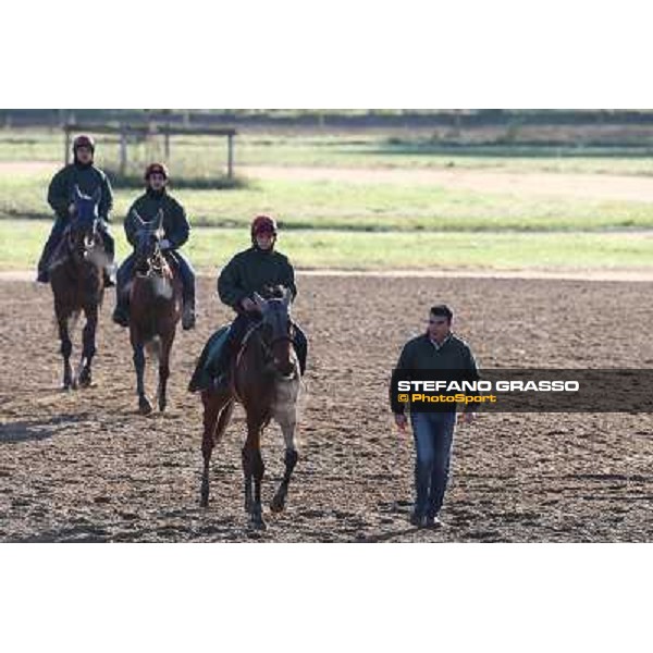 A morning at Endo Botti racing stable Pisa - San Rossore,7th nov.2012 ph.Stefano Grasso