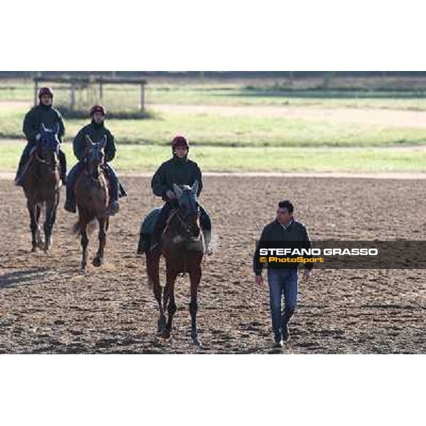 A morning at Endo Botti racing stable Pisa - San Rossore,7th nov.2012 ph.Stefano Grasso