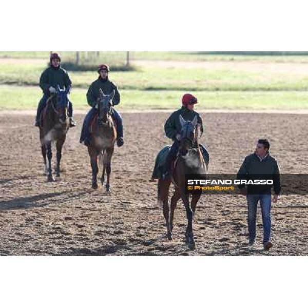 A morning at Endo Botti racing stable Pisa - San Rossore,7th nov.2012 ph.Stefano Grasso