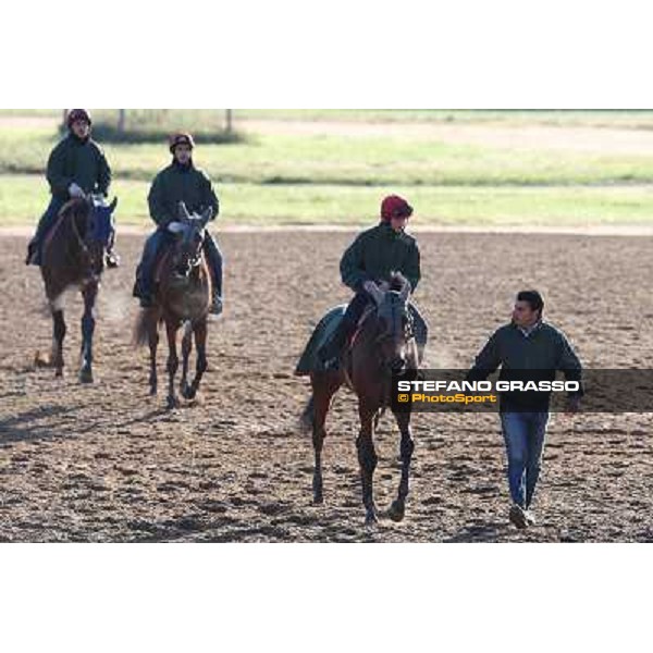 A morning at Endo Botti racing stable Pisa - San Rossore,7th nov.2012 ph.Stefano Grasso