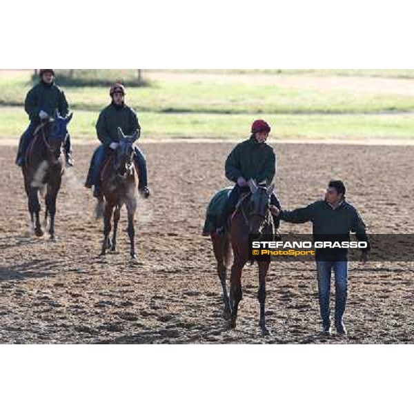 A morning at Endo Botti racing stable Pisa - San Rossore,7th nov.2012 ph.Stefano Grasso