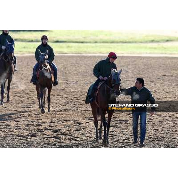 A morning at Endo Botti racing stable Pisa - San Rossore,7th nov.2012 ph.Stefano Grasso