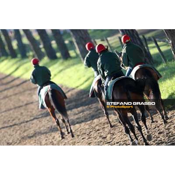 A morning at Endo Botti racing stable Pisa - San Rossore,7th nov.2012 ph.Stefano Grasso