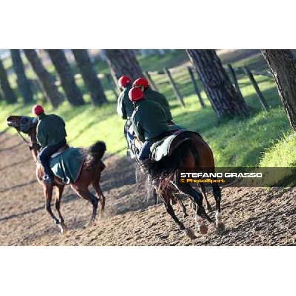 A morning at Endo Botti racing stable Pisa - San Rossore,7th nov.2012 ph.Stefano Grasso