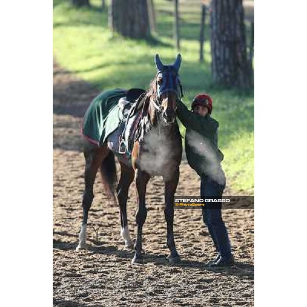 A morning at Endo Botti racing stable Pisa - San Rossore,7th nov.2012 ph.Stefano Grasso