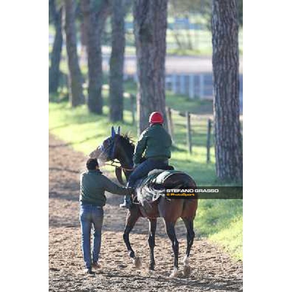 A morning at Endo Botti racing stable Pisa - San Rossore,7th nov.2012 ph.Stefano Grasso