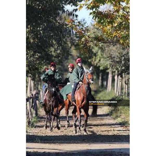 A morning at Endo Botti racing stable Pisa - San Rossore,7th nov.2012 ph.Stefano Grasso