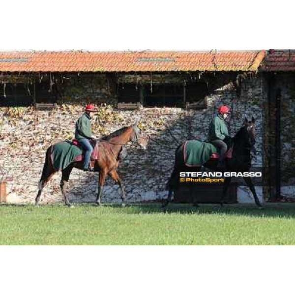 A morning at Endo Botti racing stable Pisa - San Rossore,7th nov.2012 ph.Stefano Grasso