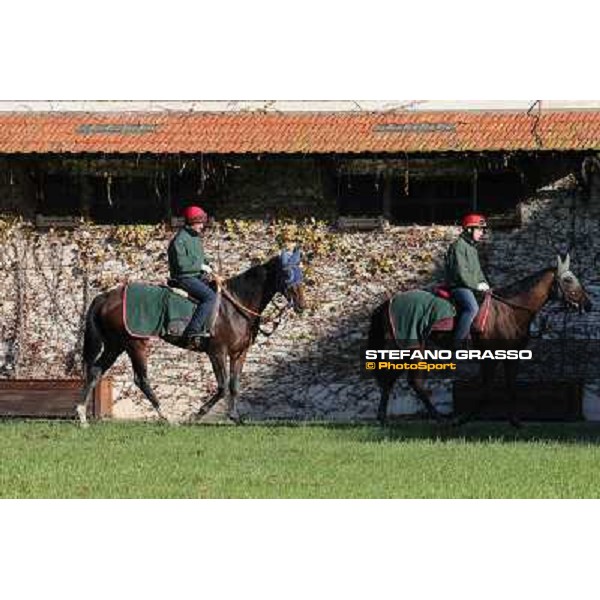 A morning at Endo Botti racing stable Pisa - San Rossore,7th nov.2012 ph.Stefano Grasso