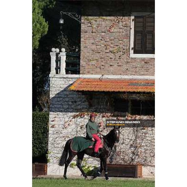 A morning at Endo Botti racing stable Pisa - San Rossore,7th nov.2012 ph.Stefano Grasso