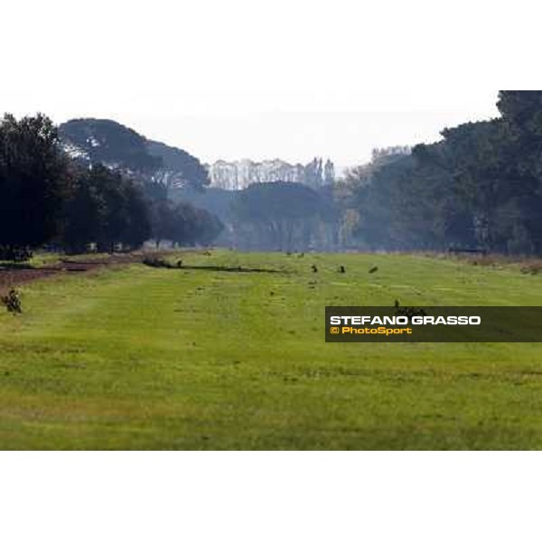 A morning at Endo Botti racing stable Pisa - San Rossore,7th nov.2012 ph.Stefano Grasso