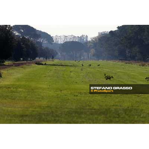 A morning at Endo Botti racing stable Pisa - San Rossore,7th nov.2012 ph.Stefano Grasso
